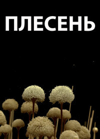 Плесень (2009) Плесень (2009)