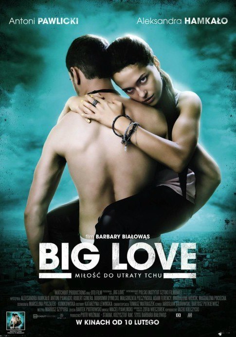 Большая любовь (2014)